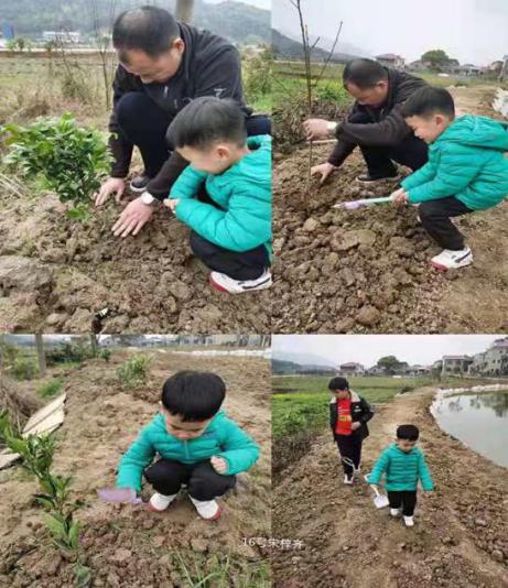 我与植物共成长