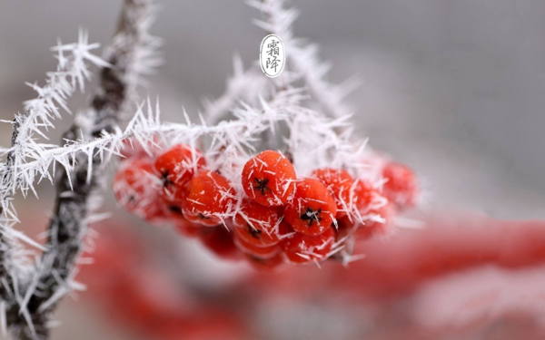 1603868112821805.png image001.png