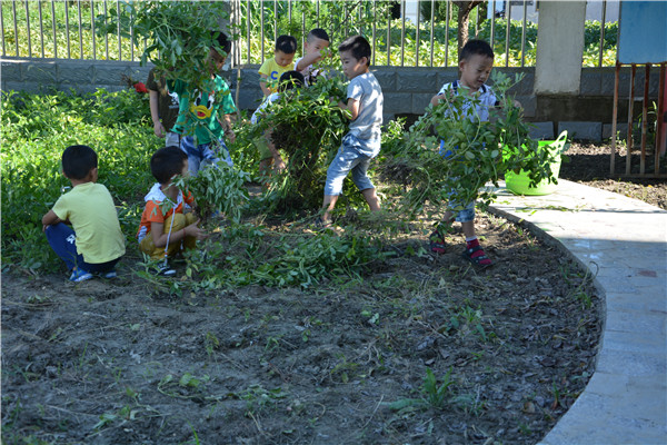1505437228379499.jpg DSC_1802.JPG