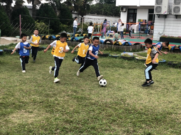 1591243905906672.jpg 图一.jpg