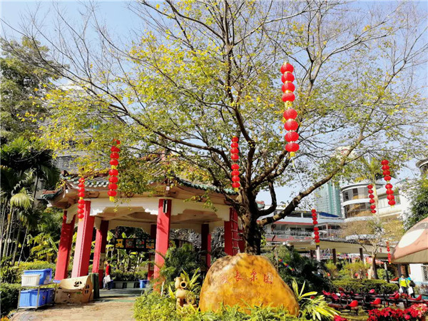 1514878864476027.jpg 环境 (1).jpg