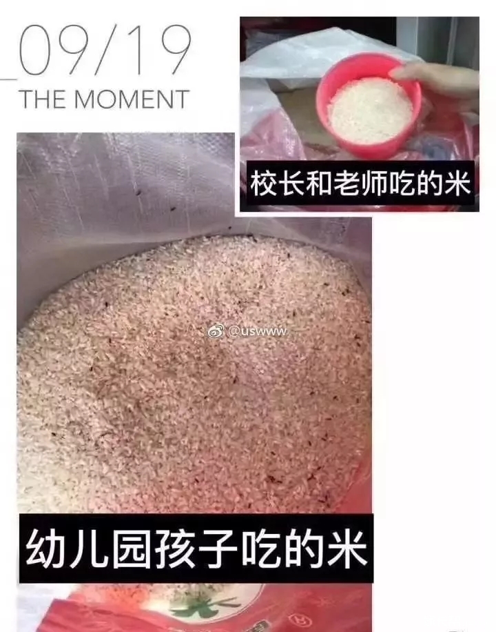 2.webp.jpg