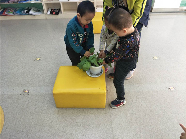 微信图片_20180412150910.jpg