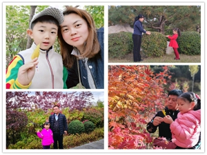 1604045327204130.jpg