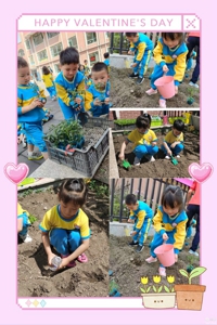 1621561811149644.jpg