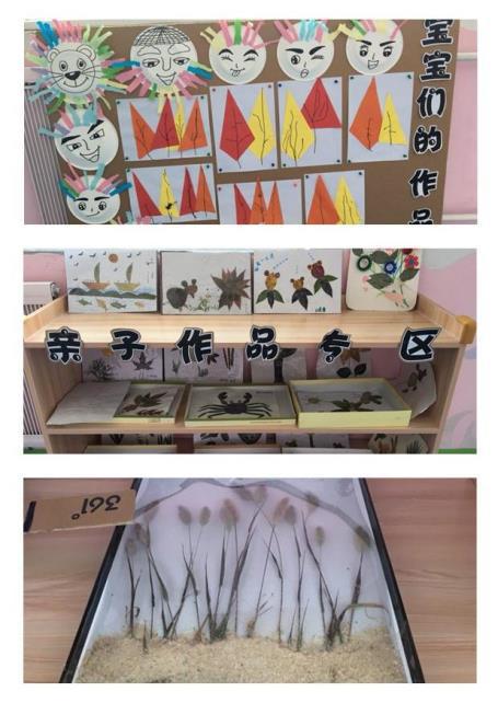 1509153926705644.jpg 图片6.jpg