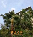 2019年四川城市卫生学校录取分数线是多少_升学方法是什么-2019年四川城市卫生学校录取分数线是什么_升学方法是什么怎么样