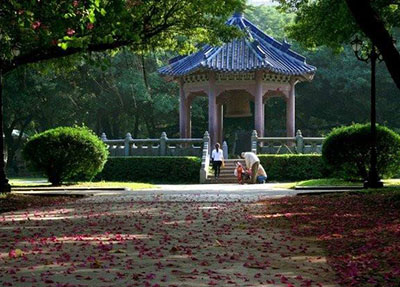 学校花园小亭及风景介绍